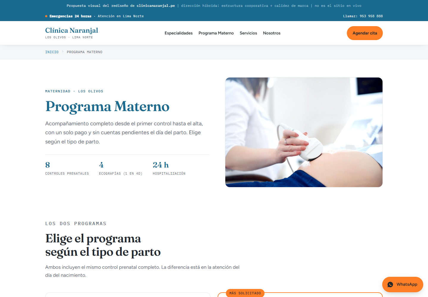 Mockup de escritorio del Programa Materno y Partos
